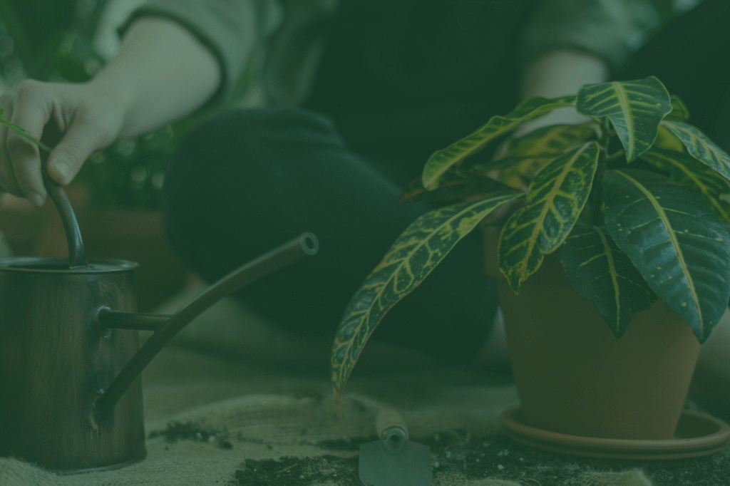 Growing a business is like growing a plant