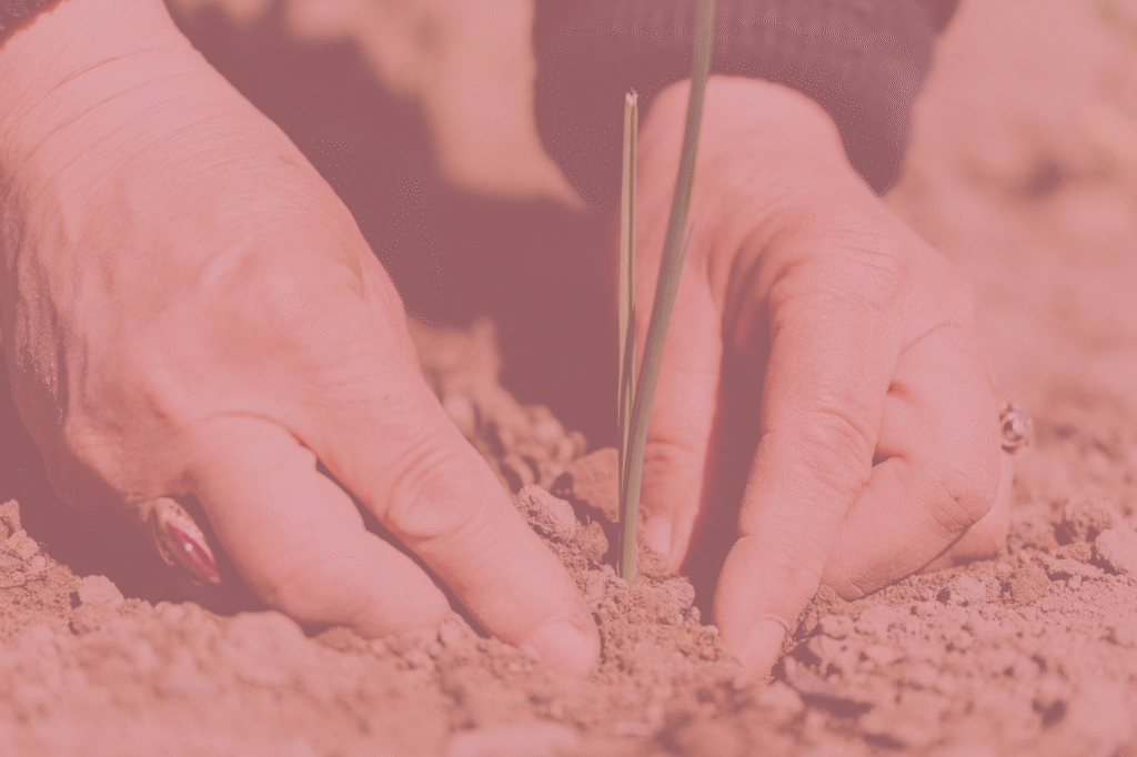Starting a business is like planting a seed.